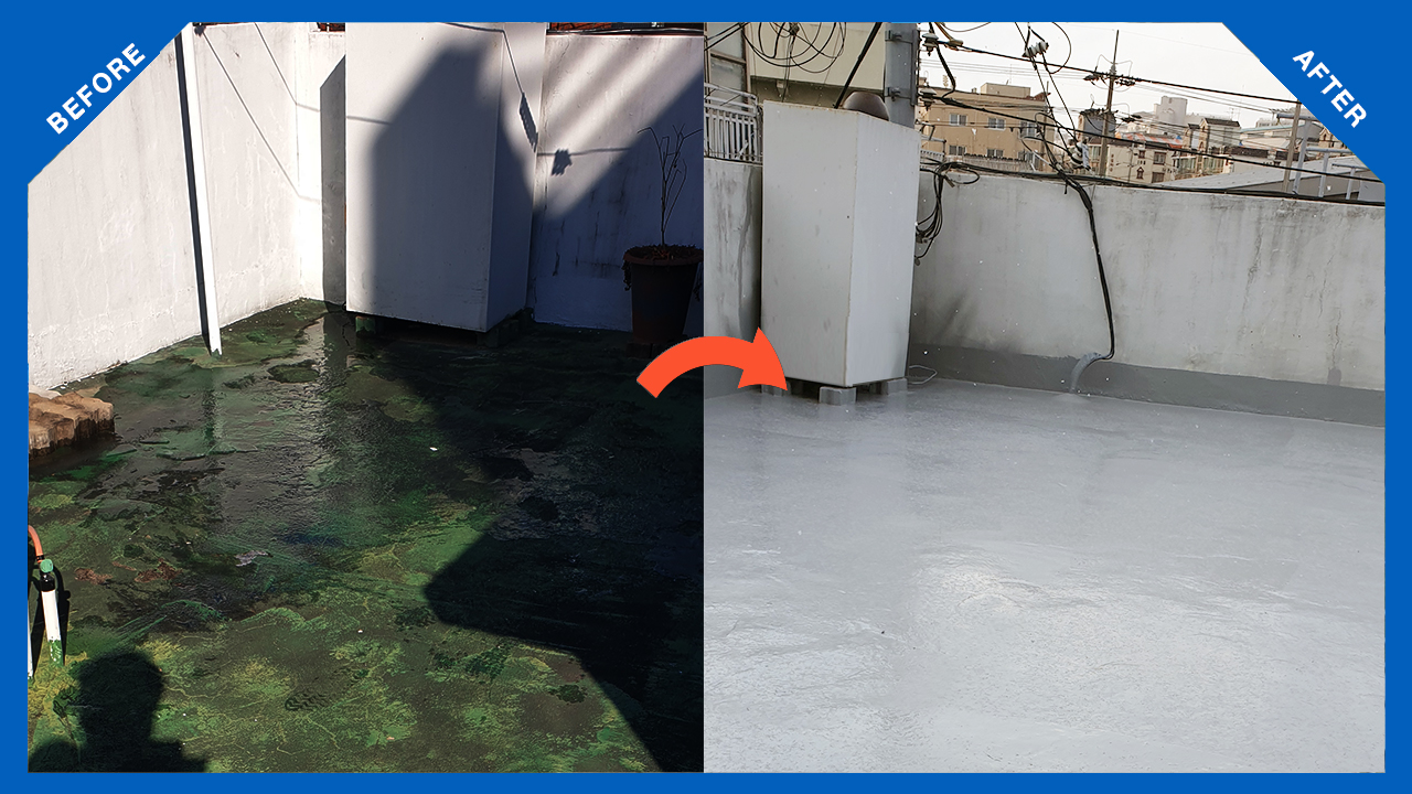 대구 서구 다세대주택